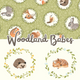 Woodland Babes by Northcott Fabrics